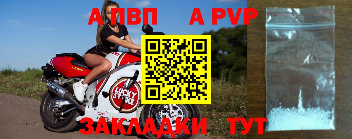 Alfa_PVP СК Орехово-Зуево