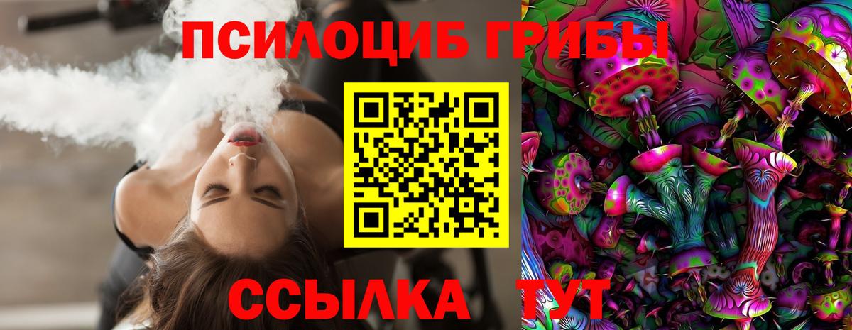 Псилоцибиновые грибы Psilocybine cubensis Орехово-Зуево