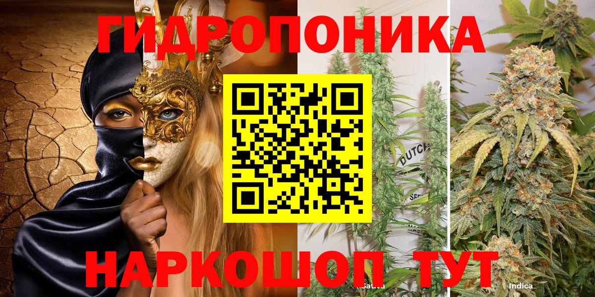 Шишки марихуана марихуана Орехово-Зуево